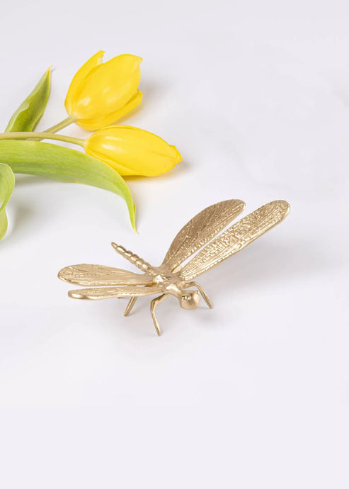 Decorative Brass Dragonfly gadoliving