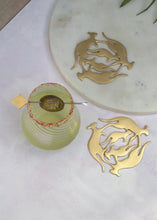 Load image into Gallery viewer, Wallaroo Coasters - set of 2 gadoliving